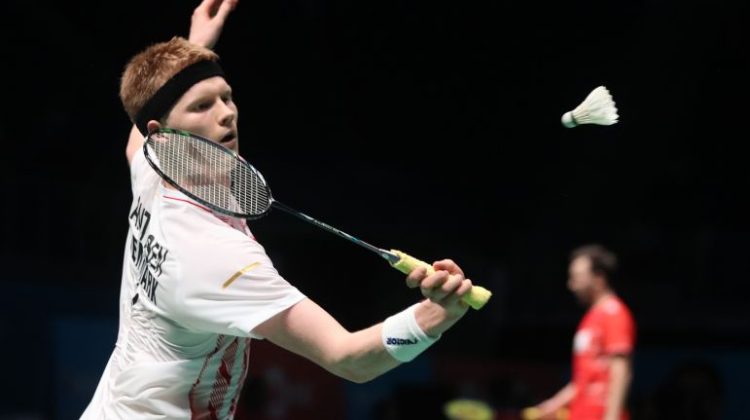 体上的热门 体上的热门