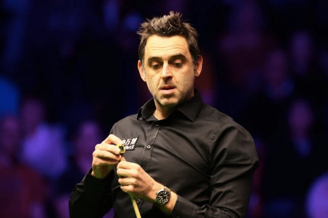 对抗能力的 对抗能力的