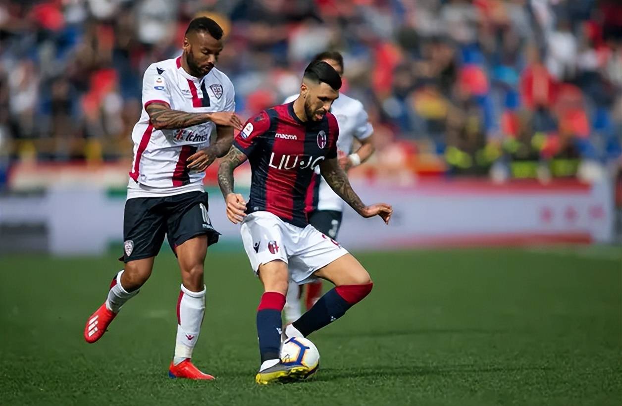 解释结果 解释结果