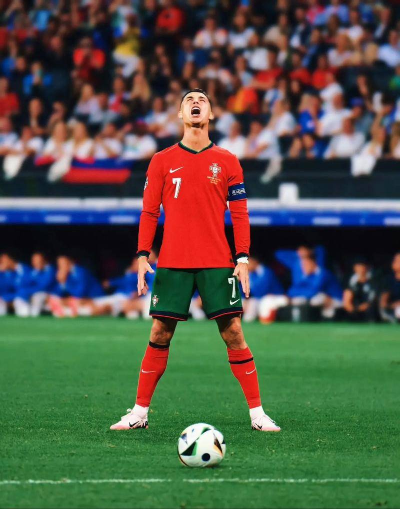 塞尔执行细 塞尔执行细